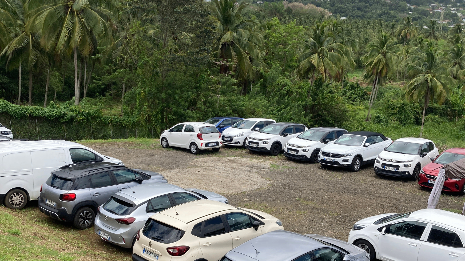 Parc automobile en Martinique